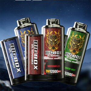 OOO! BIGBOX APPLE DTLDL Disposable Vape POD 12000 Puffs 25ml large clouds with adjustable airflow and rechargeable battery 1000mAh, Free Base Nicotine 3mg, 5mg, 6mg